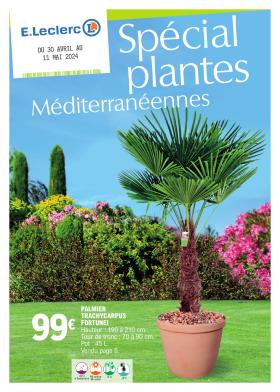E.Leclerc - Spécial plantes méditerranéennes