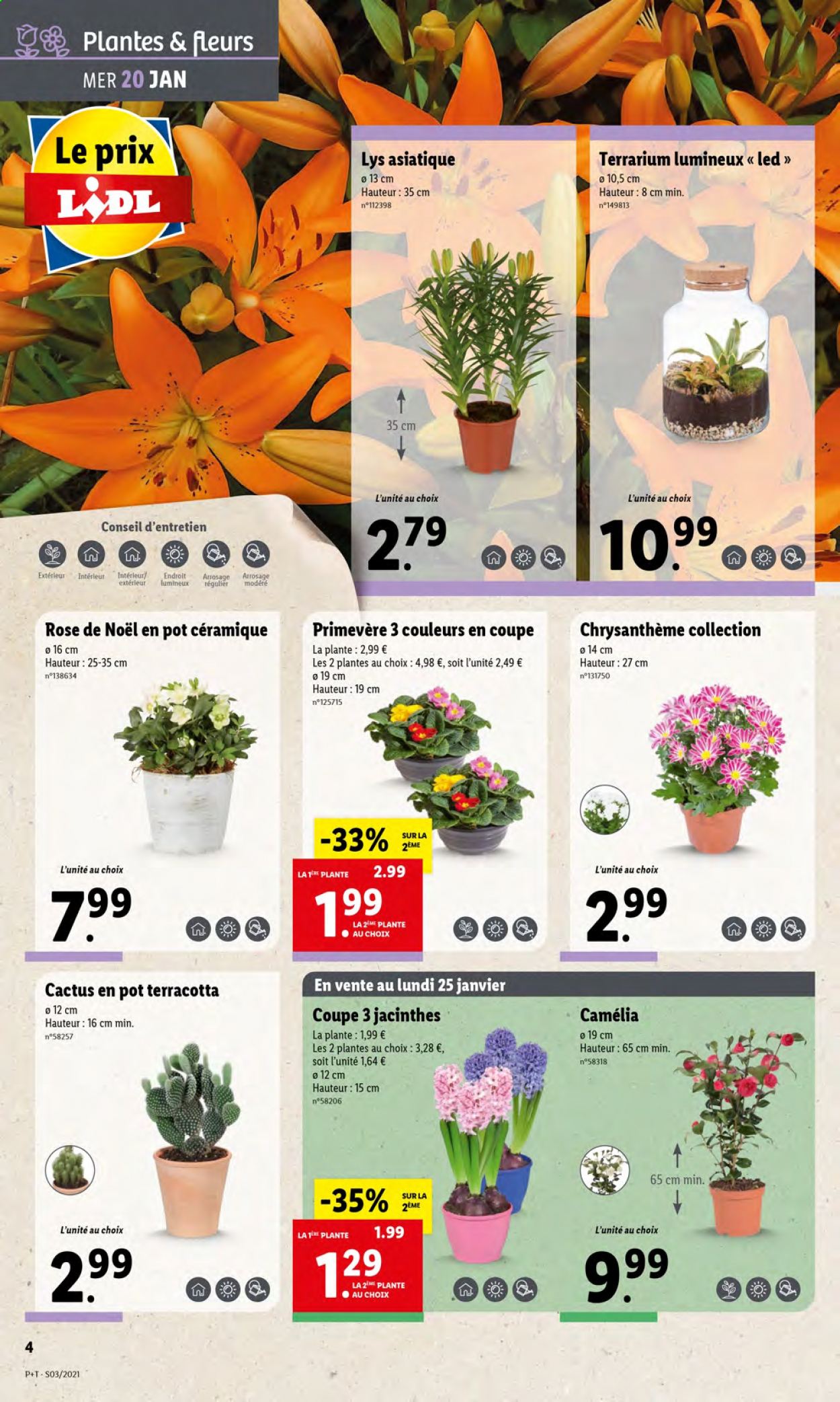 Catalogue Lidl - 20.01.2021 - 26.01.2021. Page 4.
