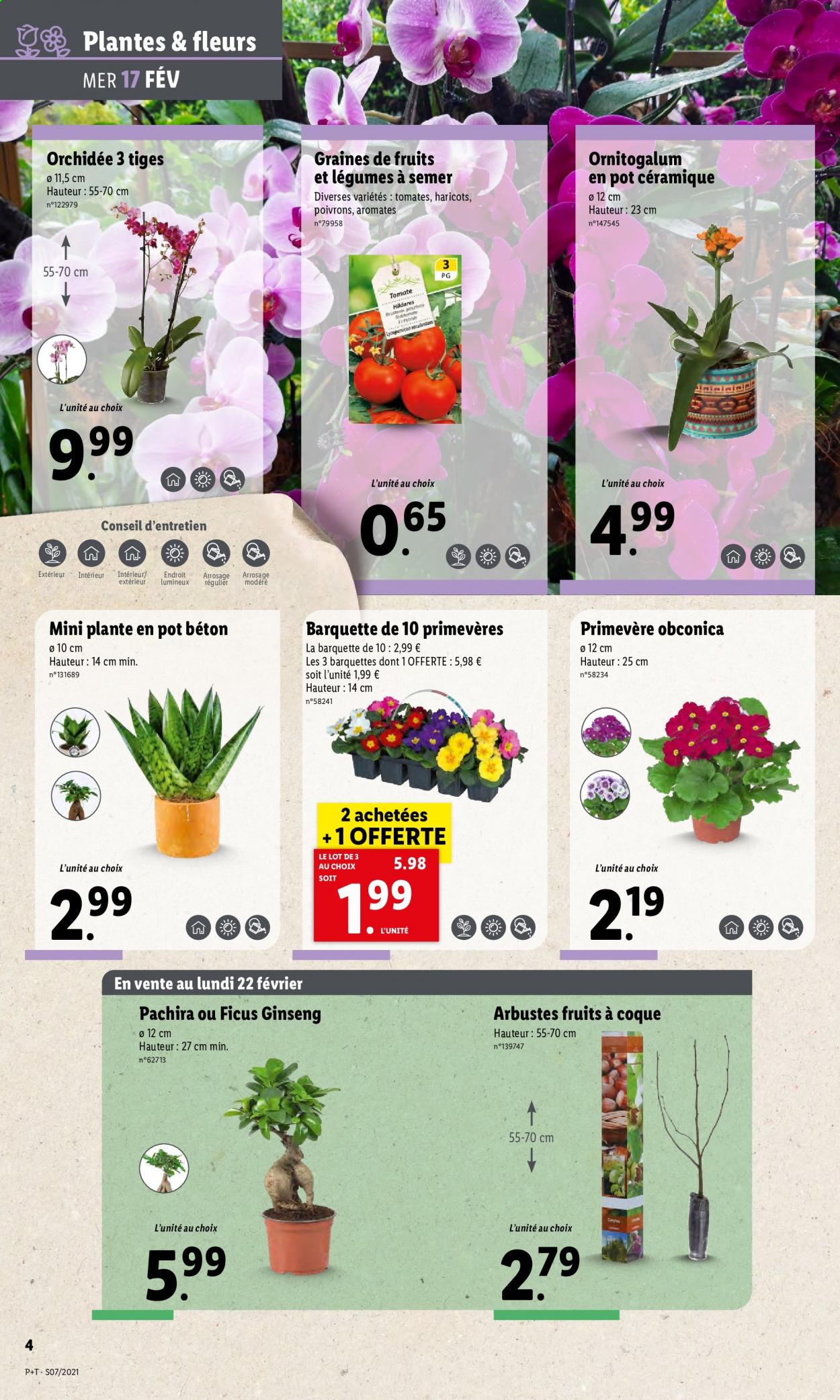 Catalogue Lidl - 17.02.2021 - 23.02.2021. Page 4.