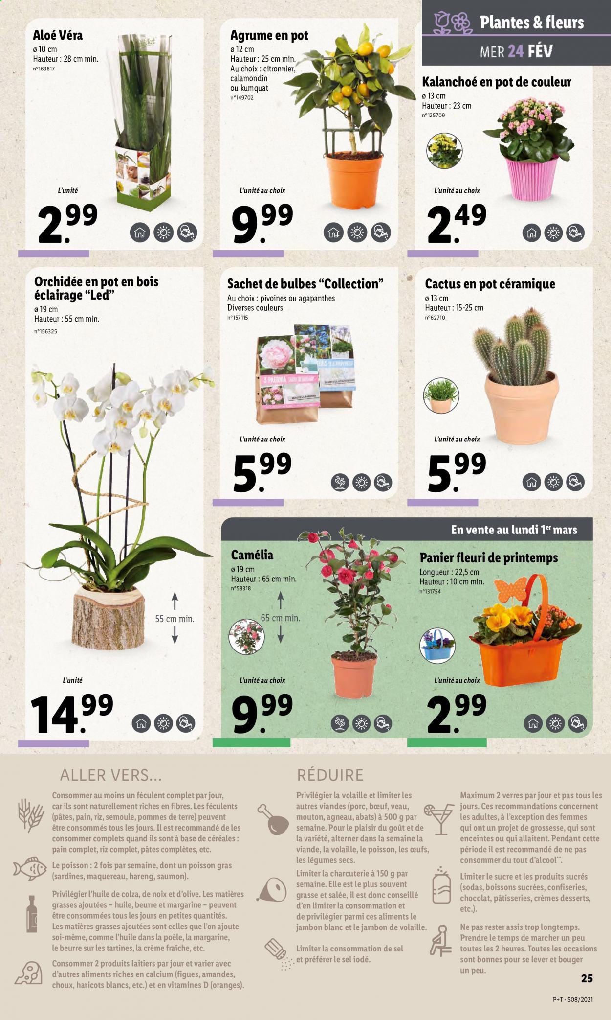 Catalogue Lidl - 24.02.2021 - 02.03.2021. Page 25.