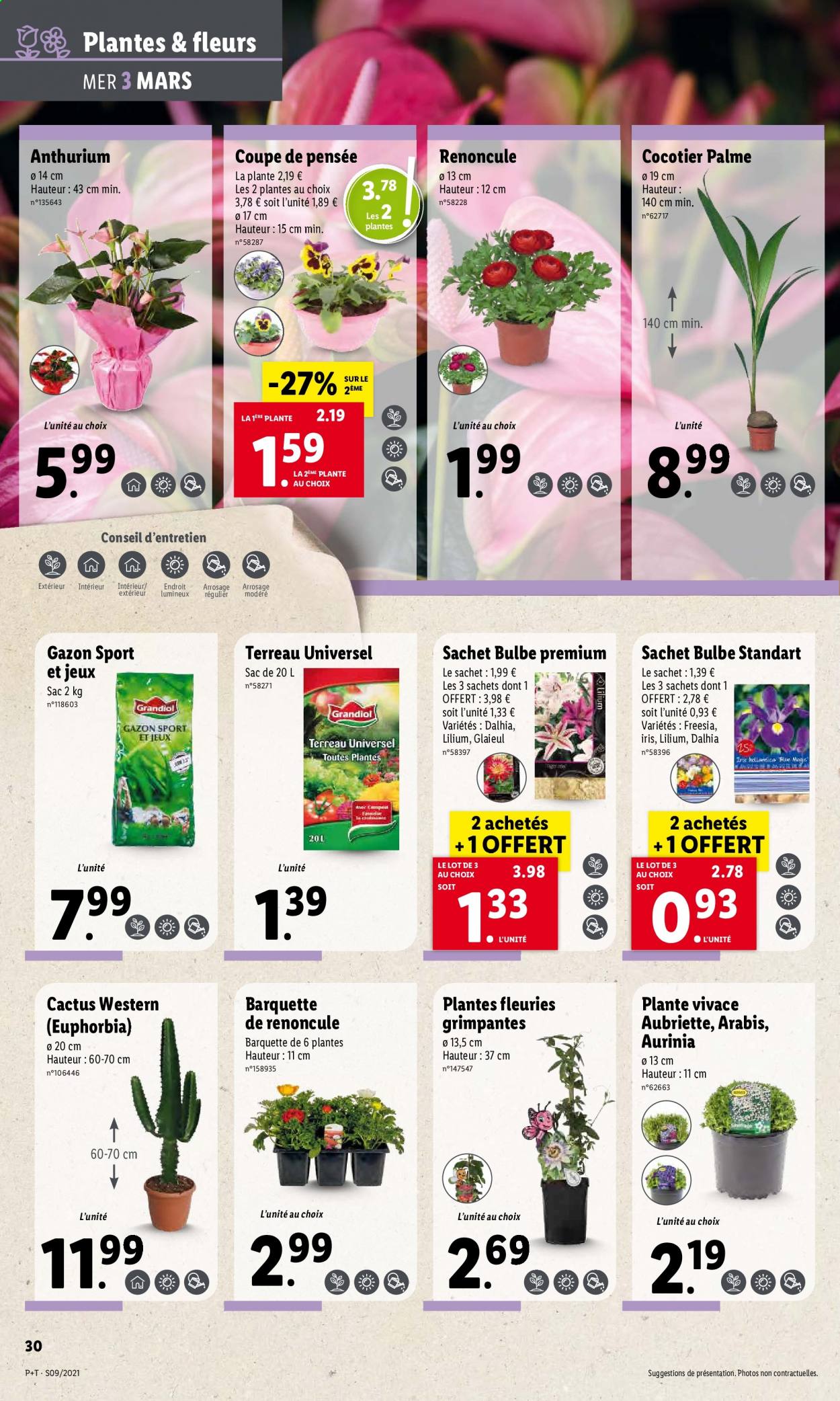 Catalogue Lidl - 03.03.2021 - 09.03.2021. Page 34.