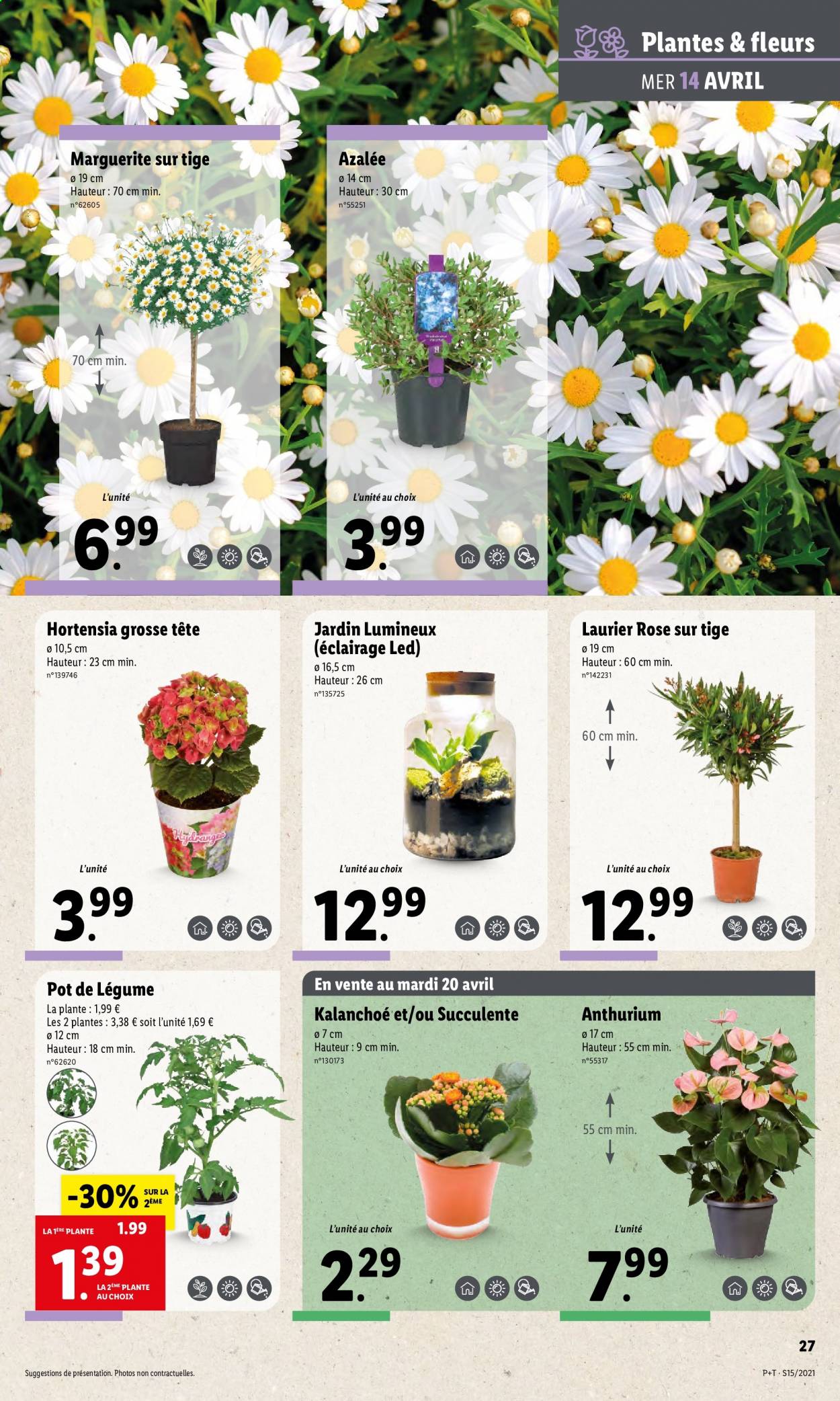 Catalogue Lidl - 14.04.2021 - 20.04.2021. Page 31.