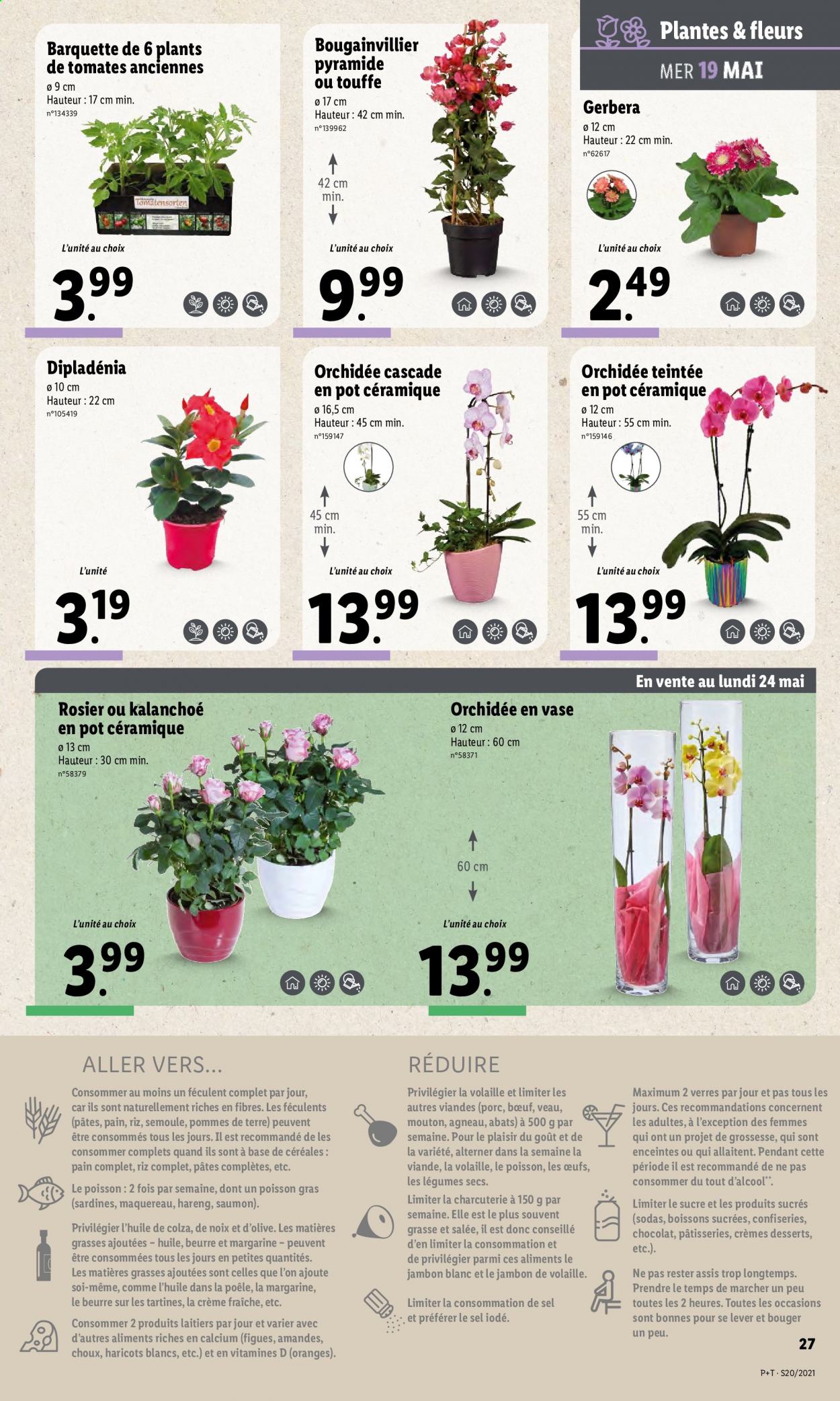 Catalogue Lidl - 19.05.2021 - 25.05.2021. Page 31.