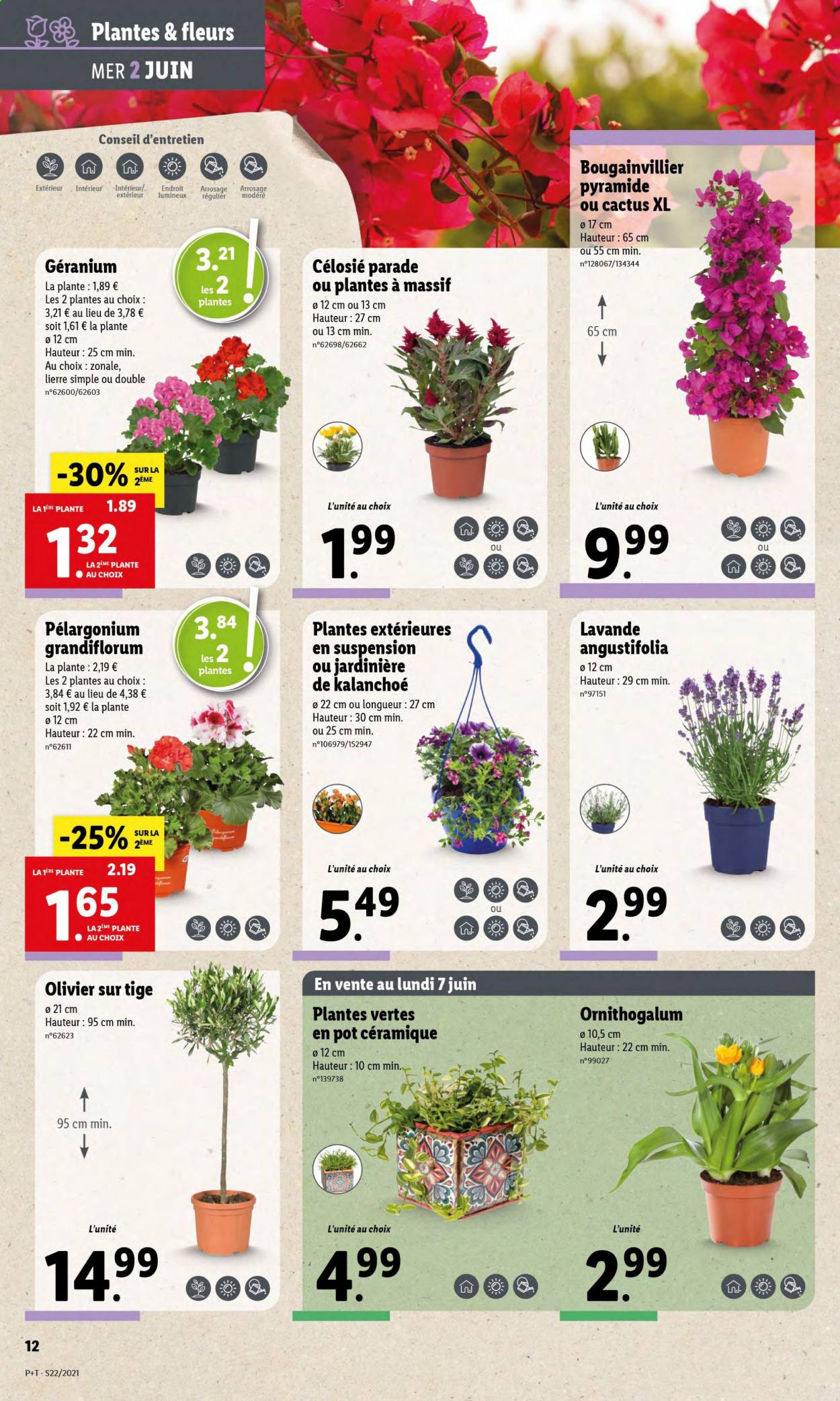 Catalogue Lidl - 02.06.2021 - 08.06.2021. Page 18.