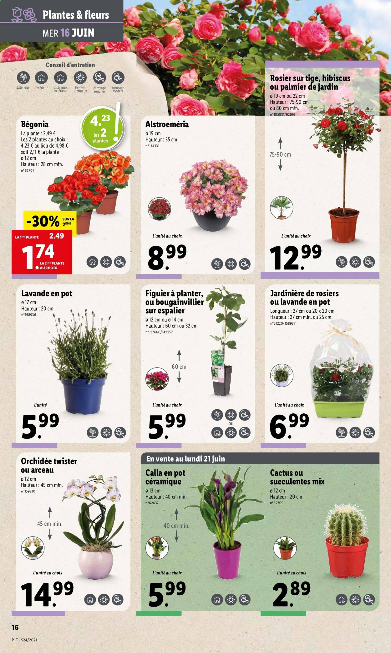Catalogue Lidl - 16.06.2021 - 22.06.2021. Page 18.