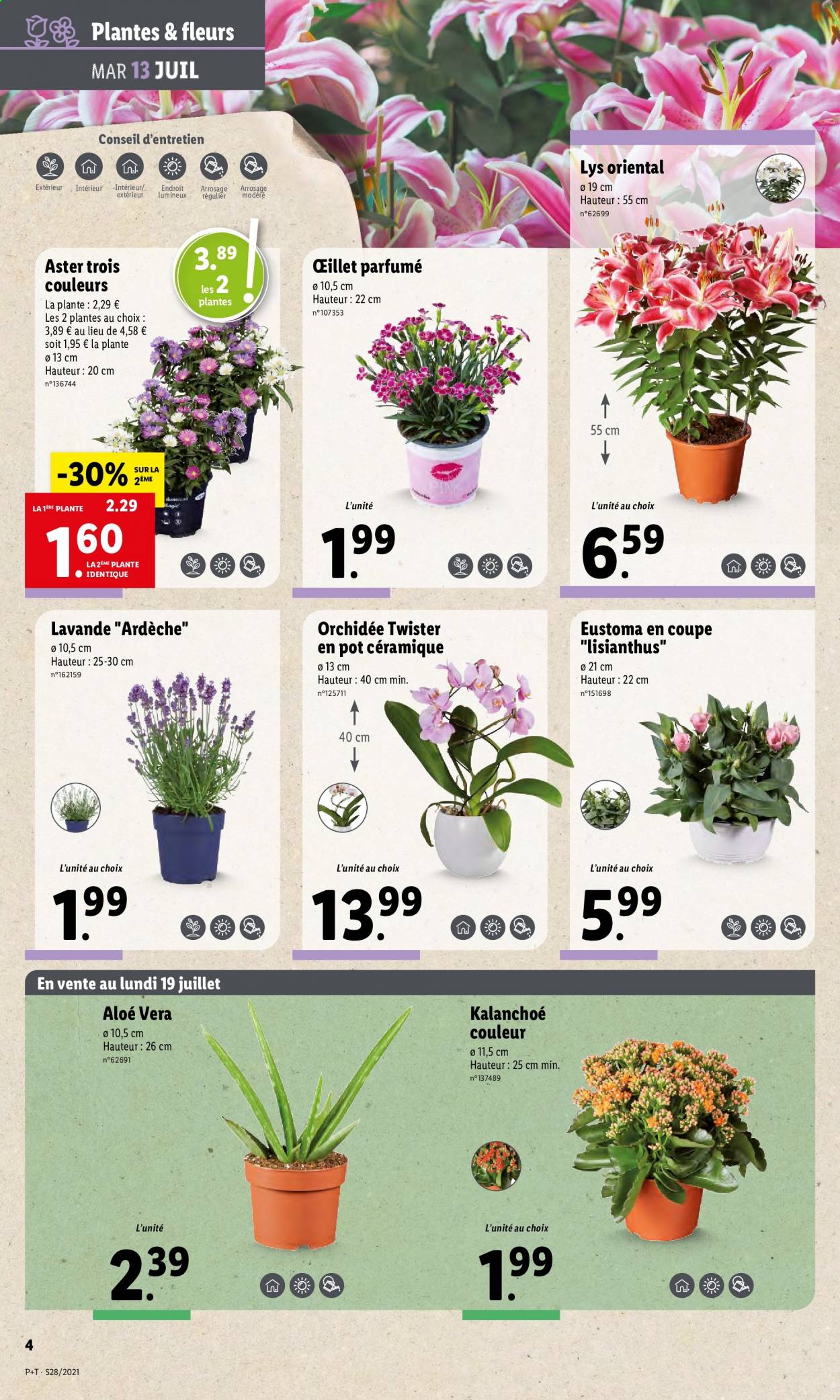Catalogue Lidl - 13.07.2021 - 20.07.2021. Page 5.