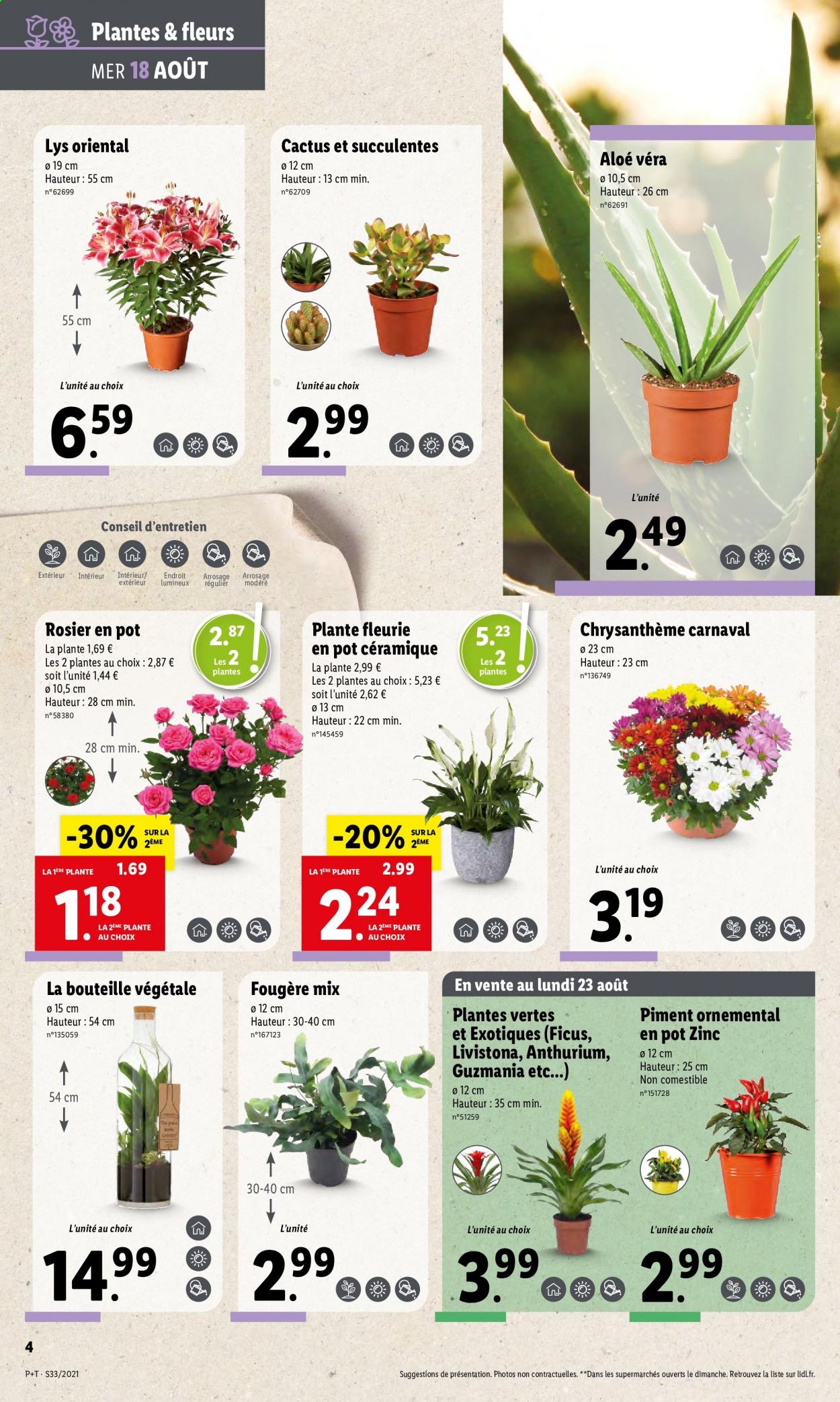 Catalogue Lidl - 18.08.2021 - 24.08.2021. Page 6.