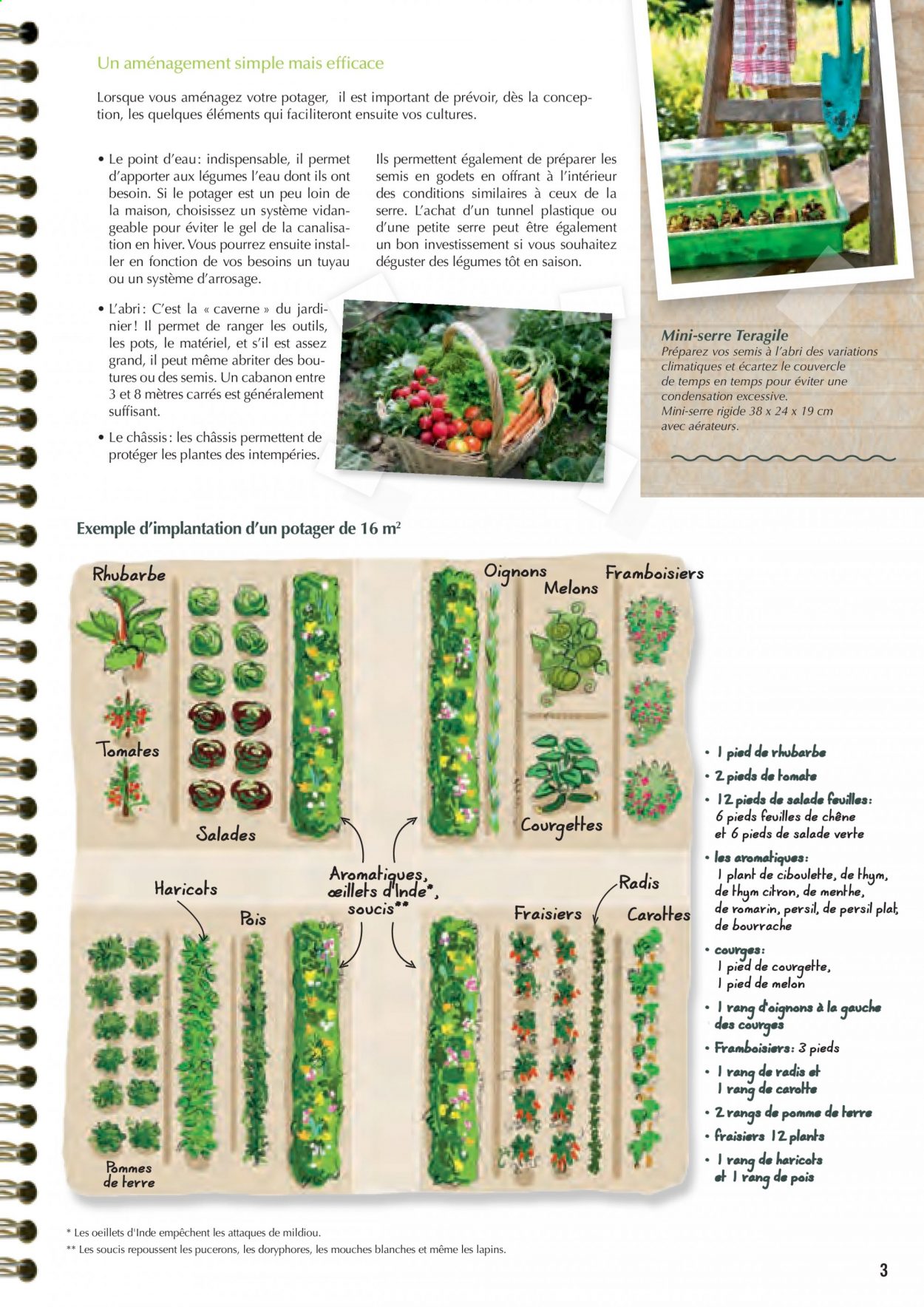 Catalogue Magasin Vert. 