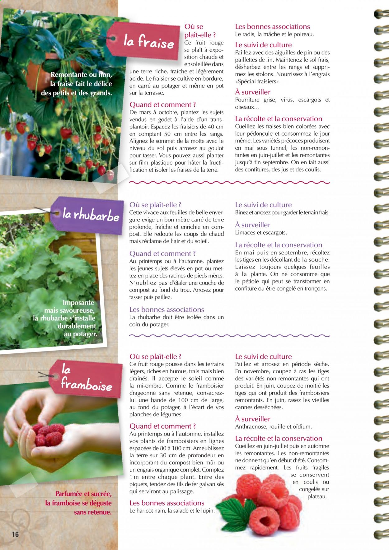 Catalogue Magasin Vert. 
