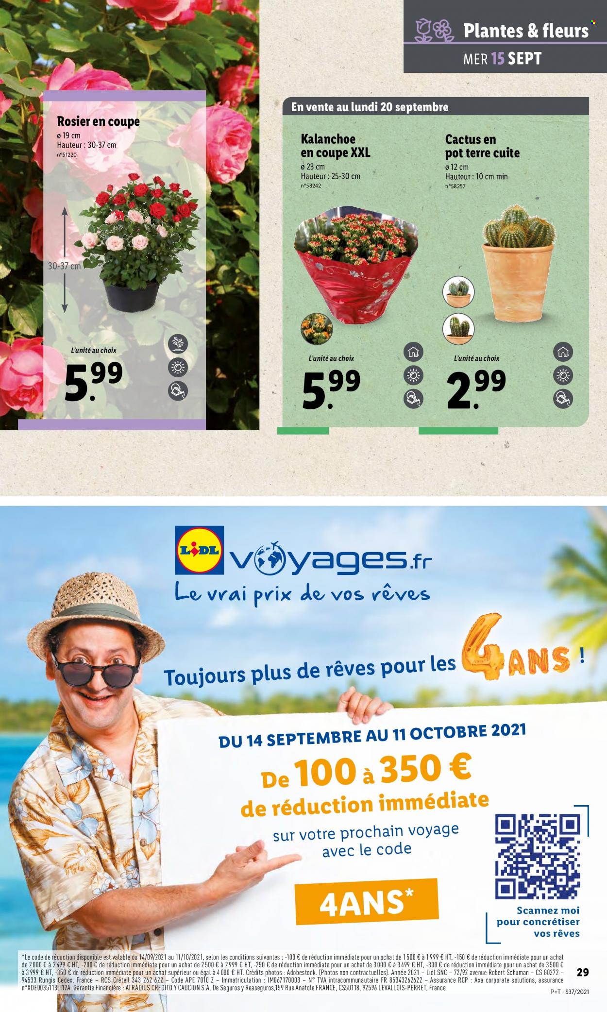 Catalogue Lidl - 15.09.2021 - 21.09.2021. Page 31.