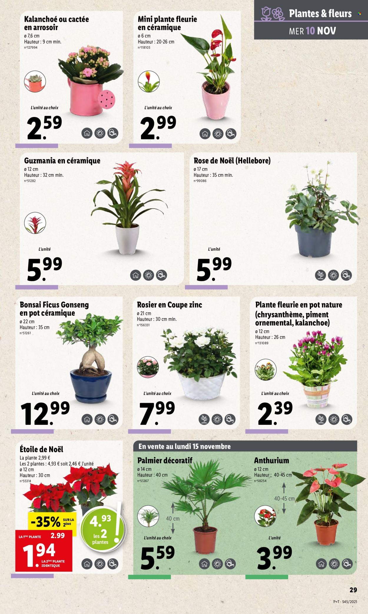 Catalogue Lidl - 10.11.2021 - 16.11.2021. Page 31.