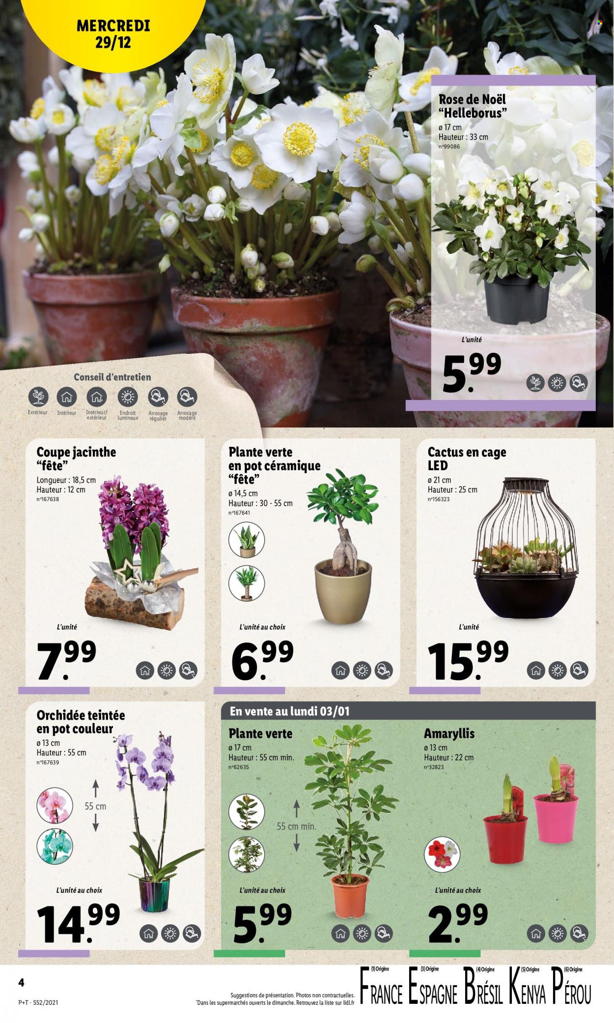 Catalogue Lidl - 29.12.2021 - 04.01.2022. Page 4.