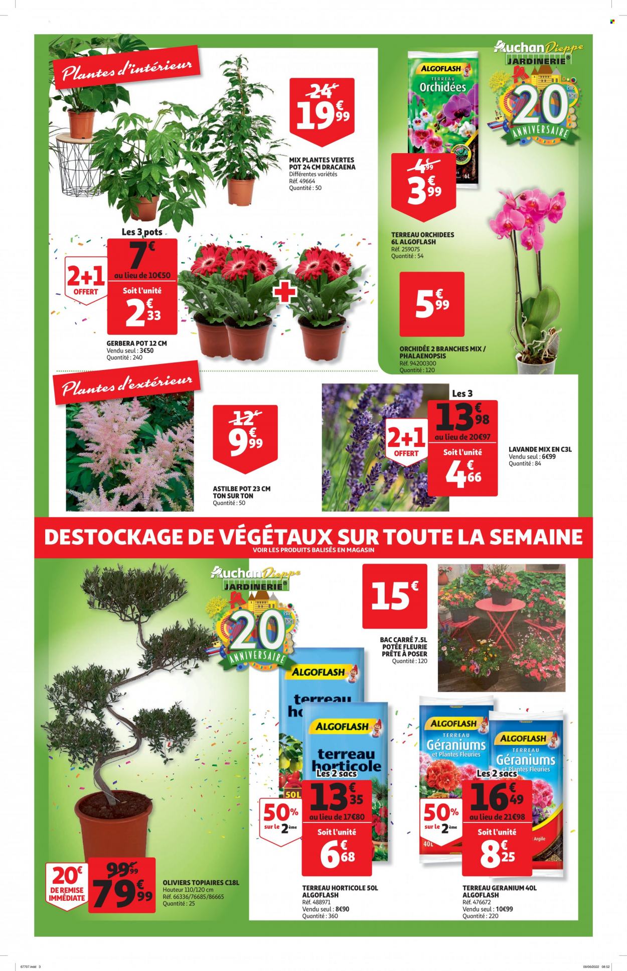 Catalogue Auchan - 21.06.2022 - 28.06.2022. 