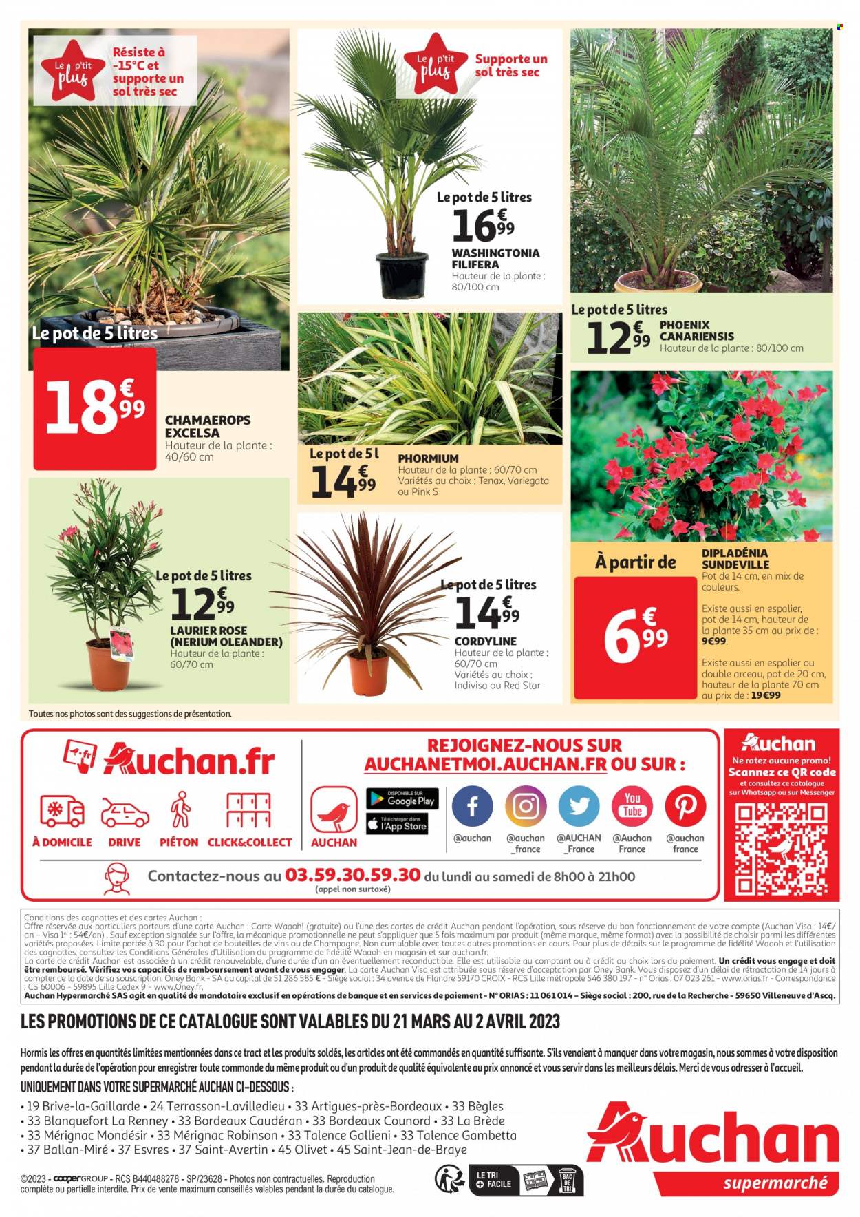 Catalogue Auchan - 21.03.2023 - 02.04.2023. 