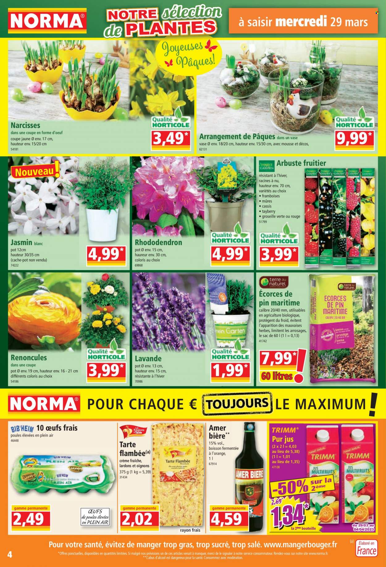 Catalogue Norma - 29.03.2023 - 04.04.2023. 