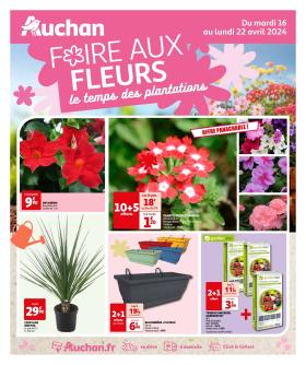 Auchan - Foire aux Fleurs