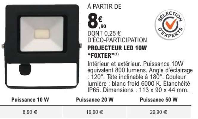 PROJECTEUR LED 10W “FOXTER”