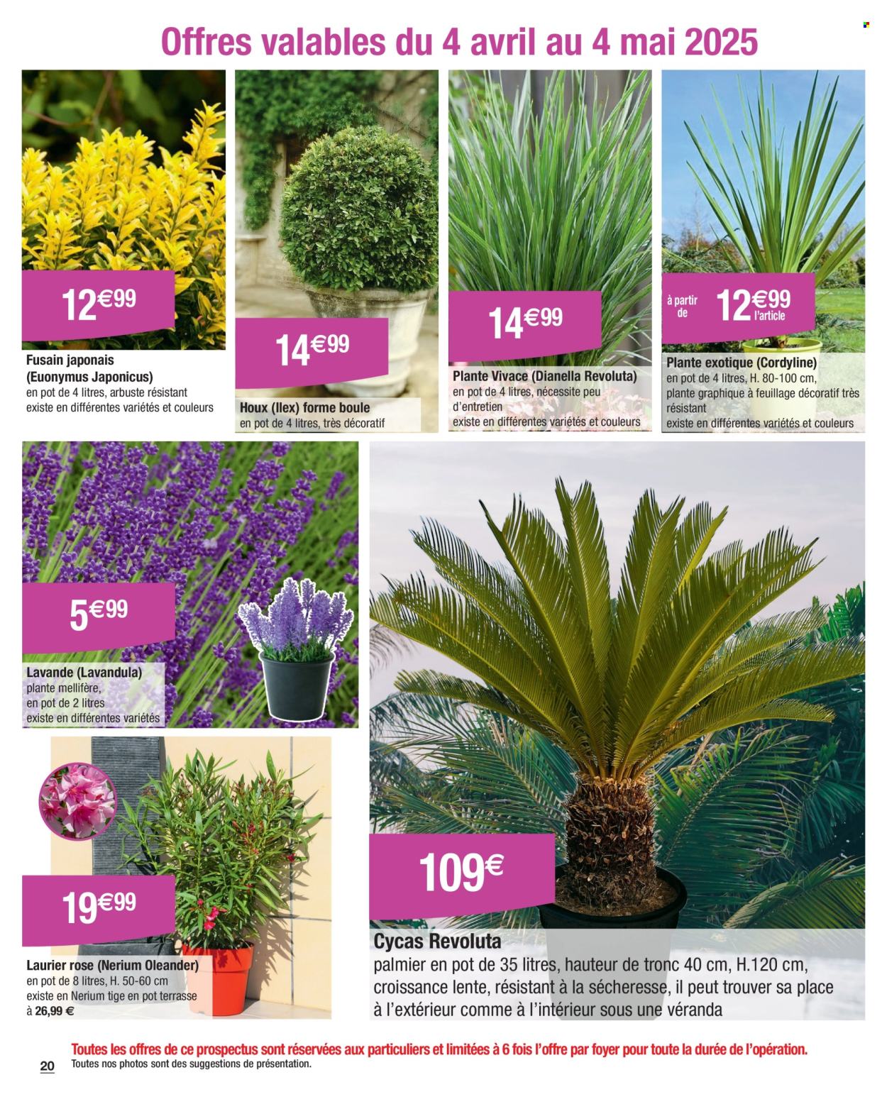 Catalogue Carrefour Hypermarchés - 25.03.2025 - 17.05.2025. 