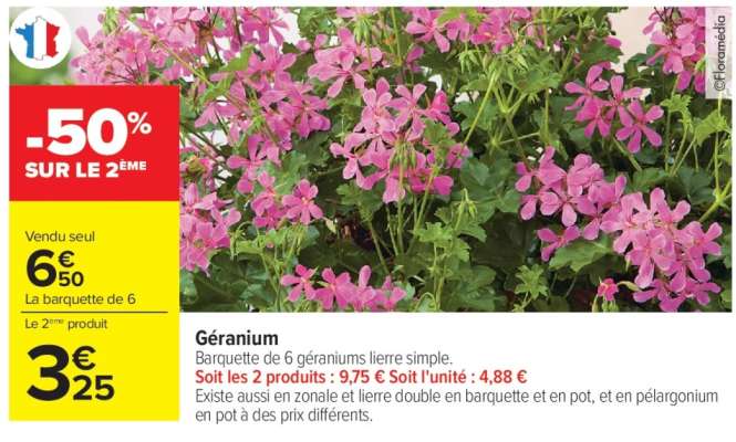 Géranium