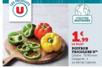 POIVRON TRICOLORE