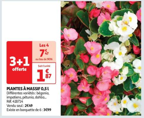 Plantes À Massif 0,5 L