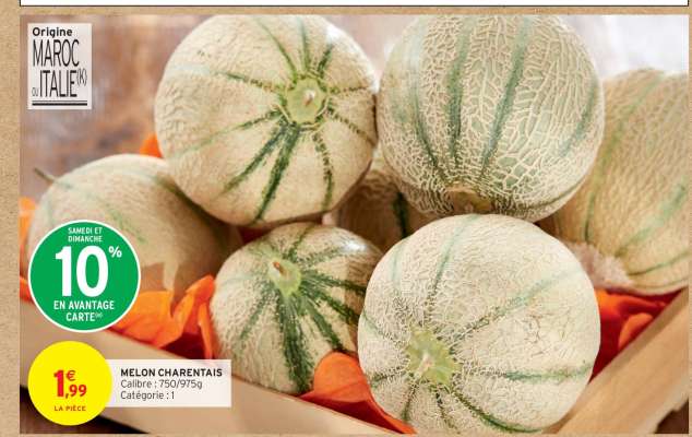 MELON CHARENTAIS
