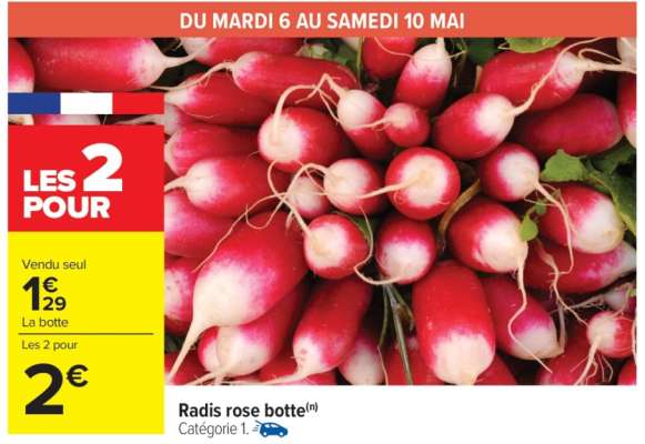 Radis rose botte