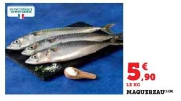 Maquereau