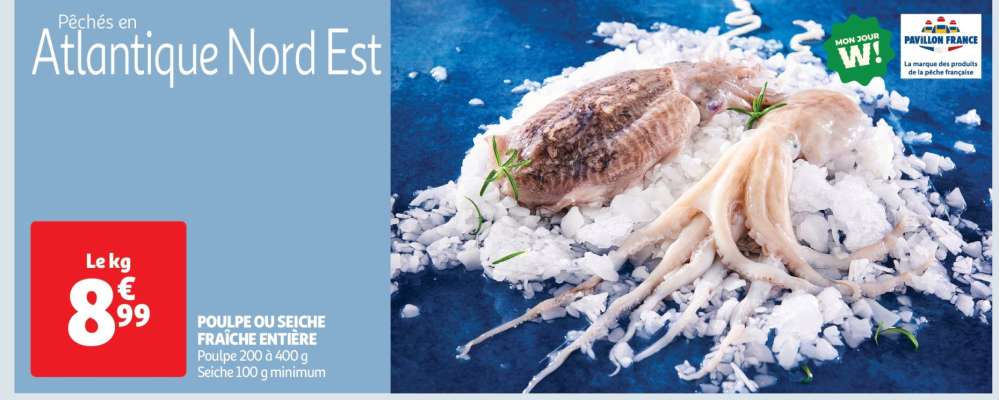 POULPE OU SEICHE FRAÎCHE ENTIÈRE