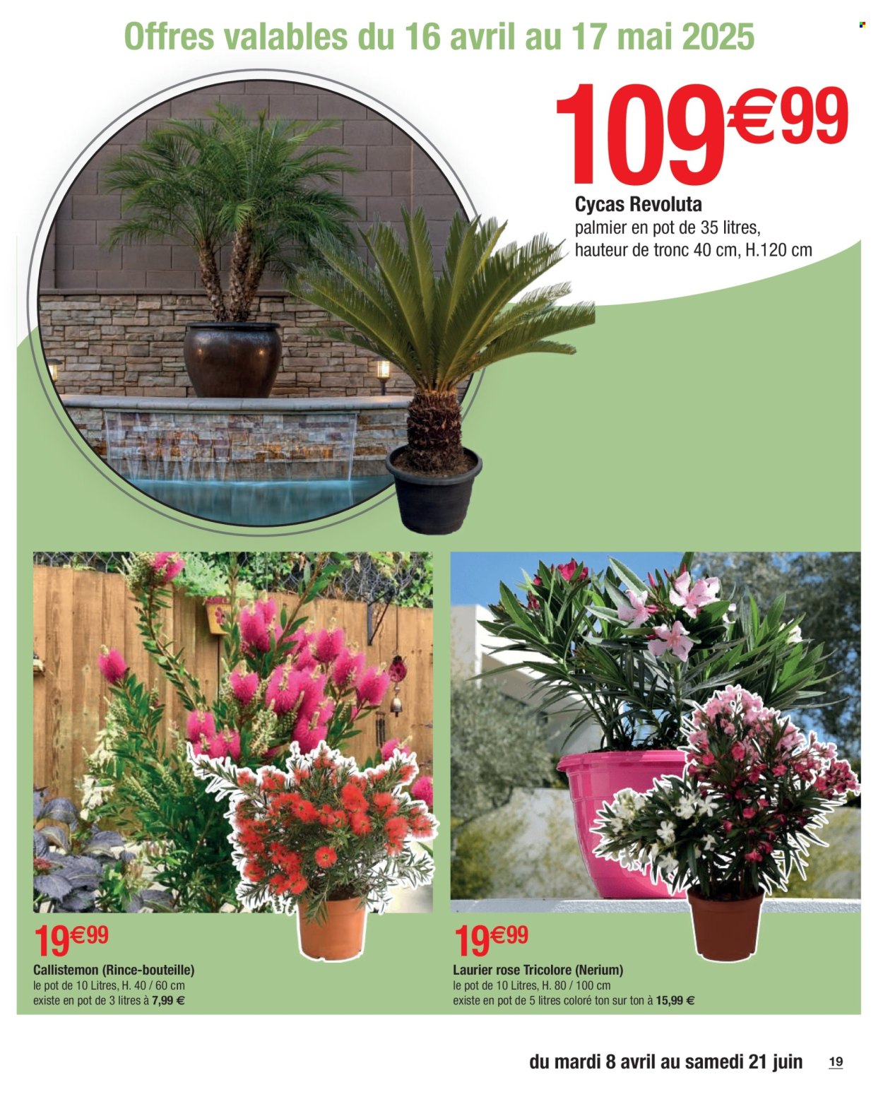 Catalogue Carrefour Hypermarchés - 08.04.2025 - 21.06.2025. 