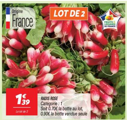RADIS ROSE