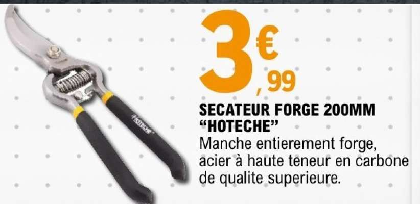 SECATEUR FORGE 200MM "HOTECH"