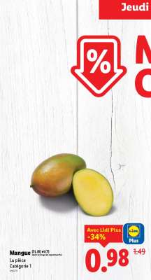 Mangue