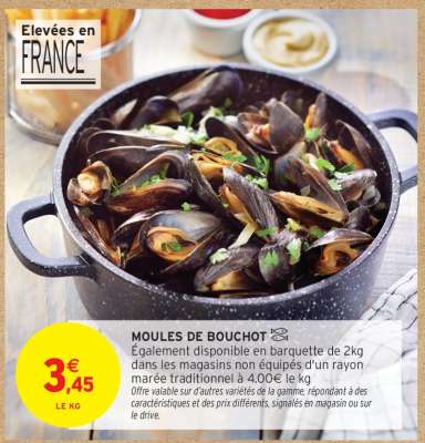 MOULES DE BOUCHOT
