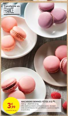 MACARONS BONNES FÊTES X12
