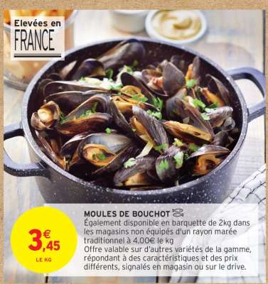 MOULES DE BOUCHOT