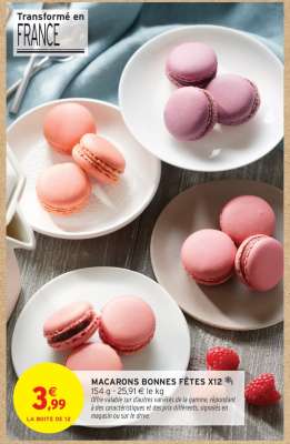 MACARONS BONNES FÊTES X12