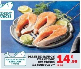 Darne de Saumon Atlantique des Fjords de Norvège
