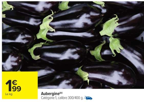 AUBERGINE