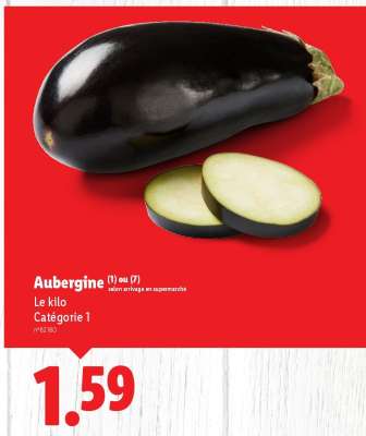 AUBERGINE