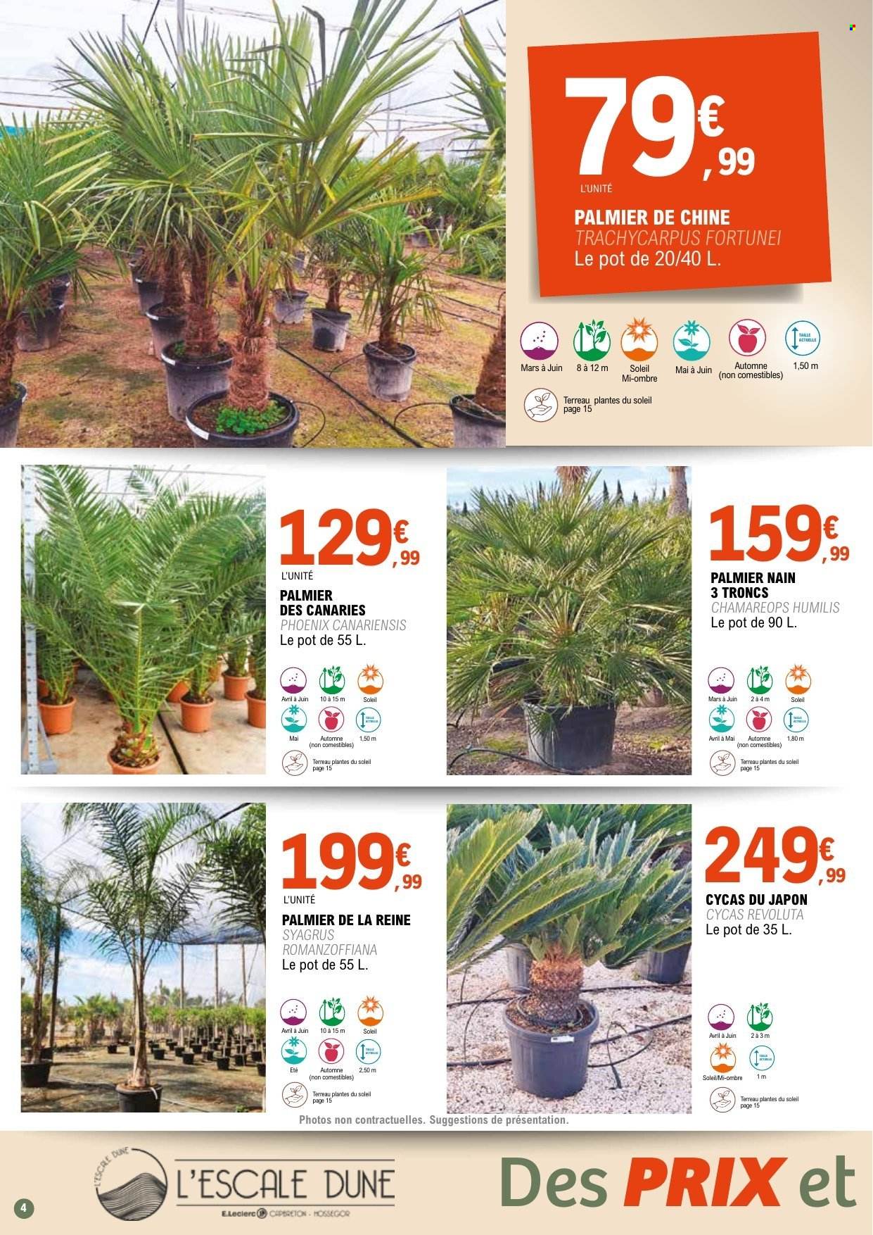 Catalogue E.Leclerc - 31.03.2026 - 11.04.2028. Page 4