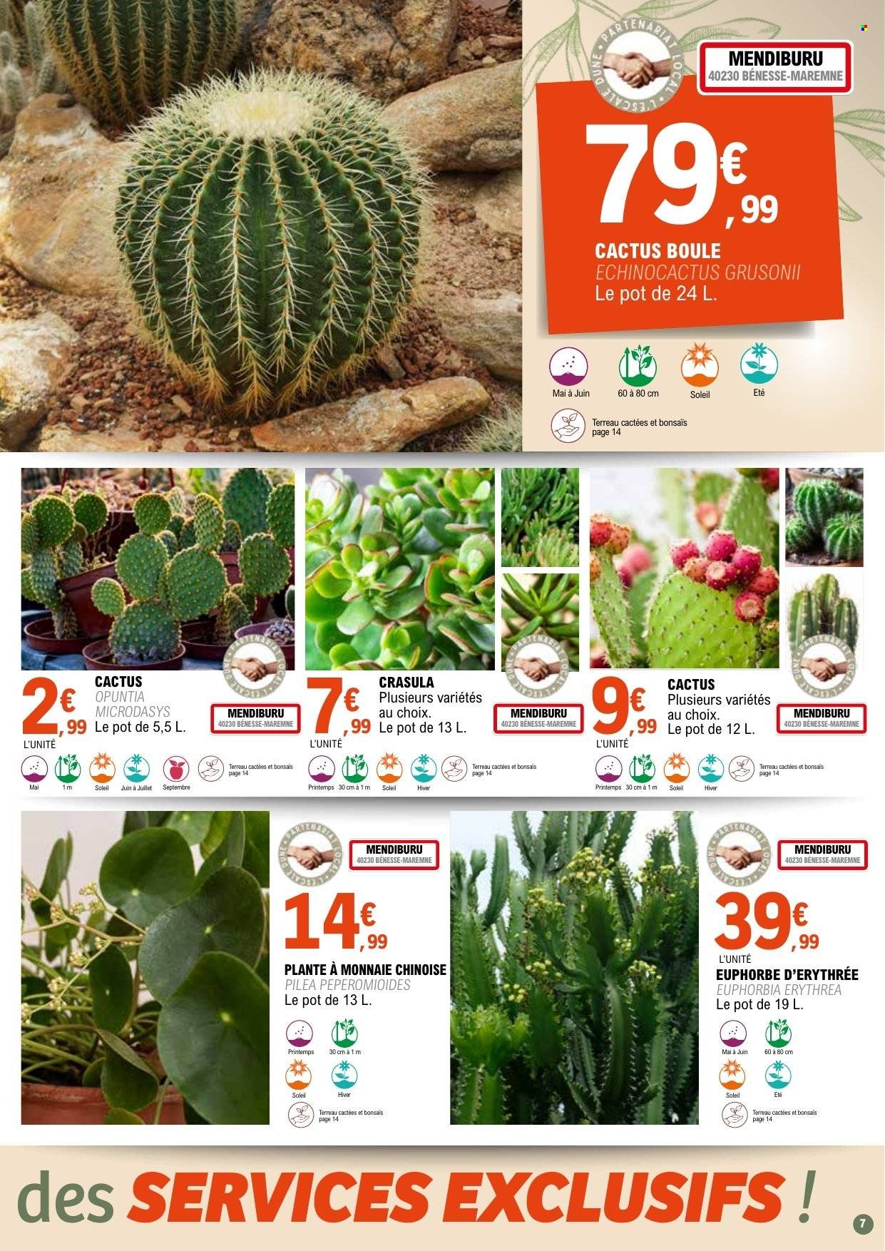 Catalogue E.Leclerc - 31.03.2026 - 11.04.2028. Page 7