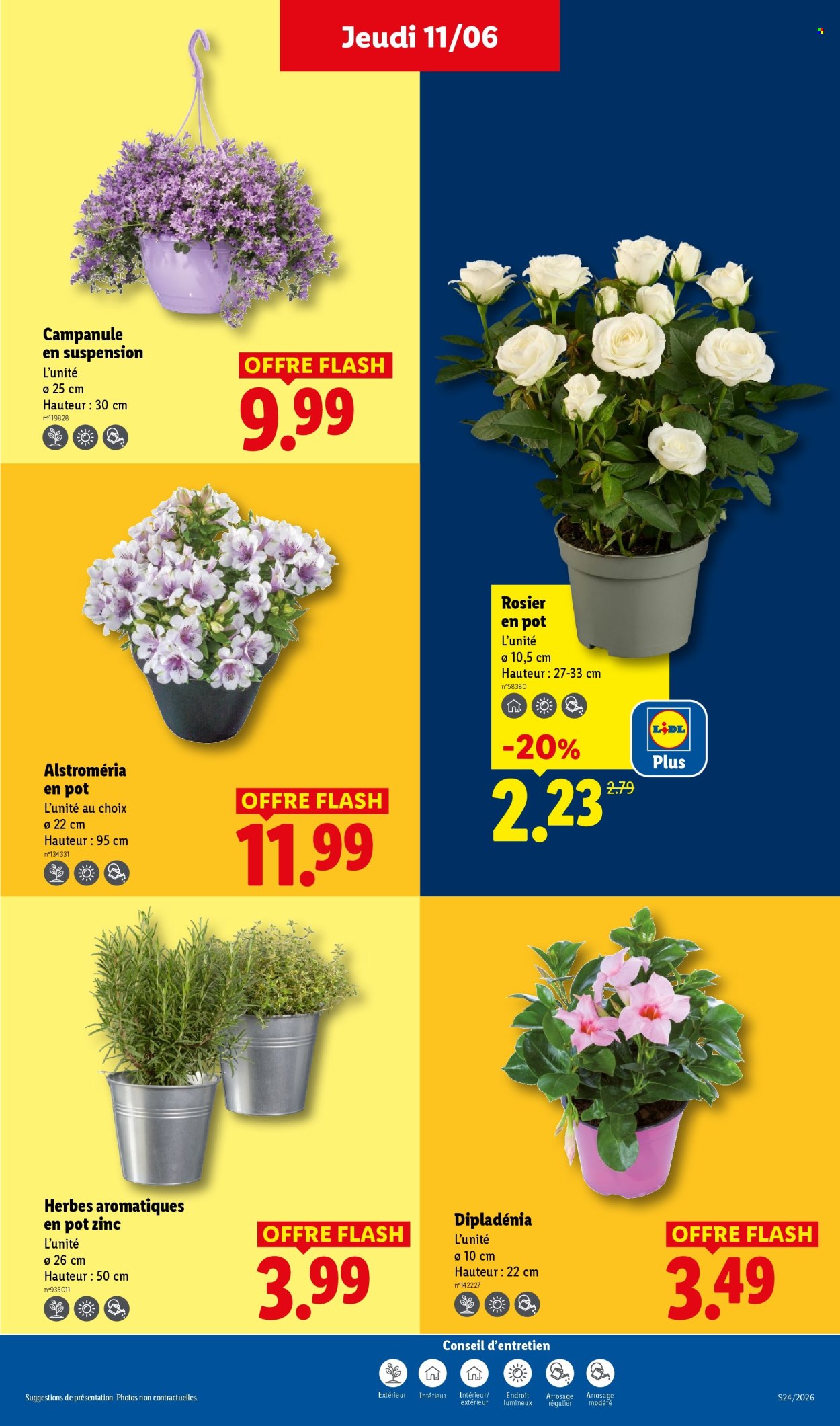 Catalogue Lidl - 11.06.2026 - 17.06.2026. Page 29