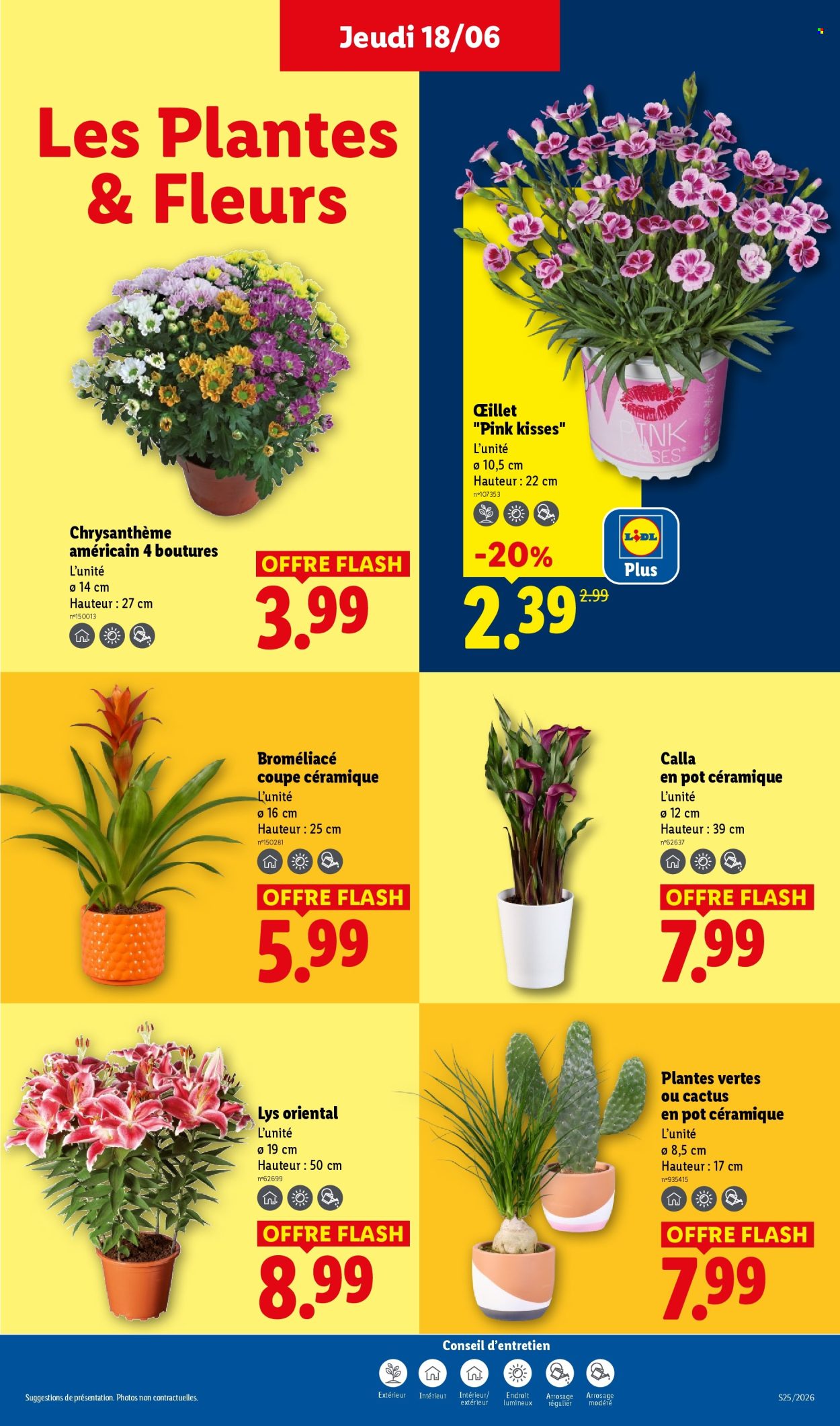 Catalogue Lidl - 18.06.2026 - 24.06.2026. Page 27