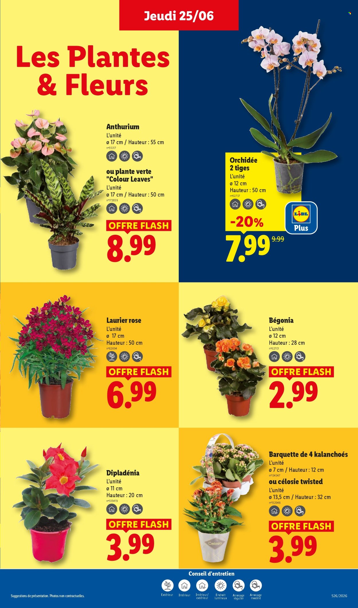 Catalogue Lidl - 25.06.2026 - 01.07.2026. Page 29