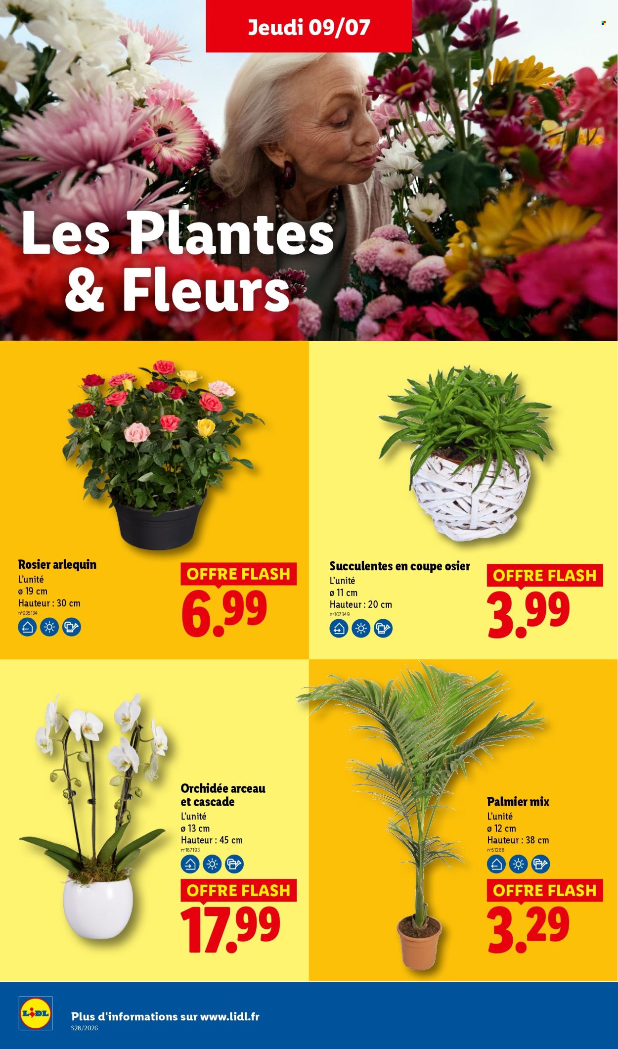 Catalogue Lidl - 09.07.2026 - 15.07.2026. Page 30