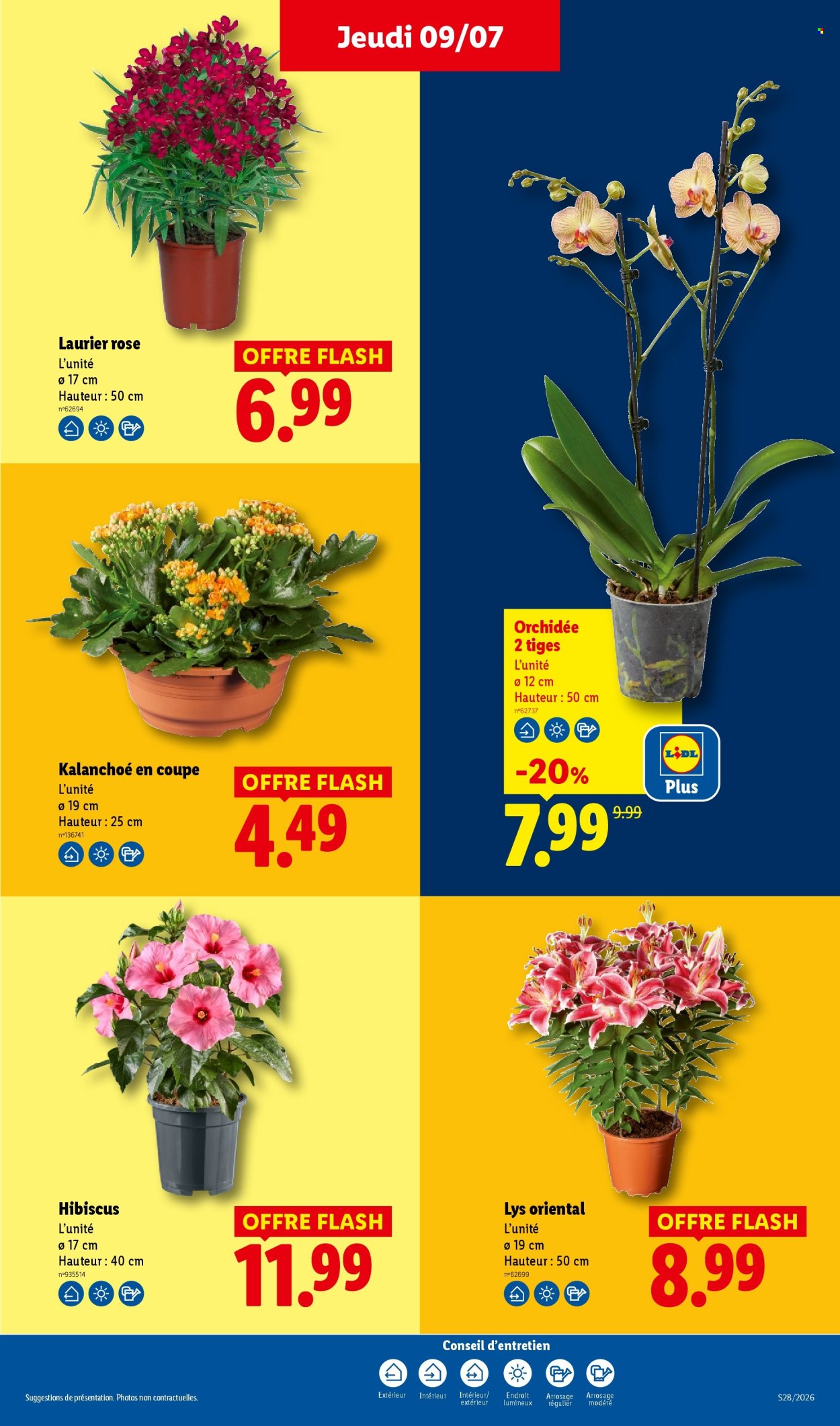 Catalogue Lidl - 09.07.2026 - 15.07.2026. Page 31
