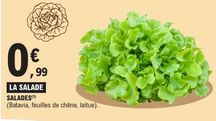 LA SALADE