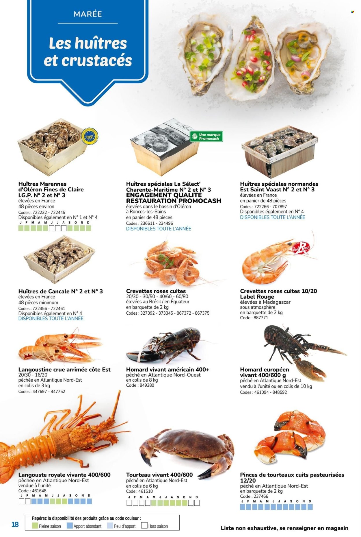 Catalogue Promocash. Page 19