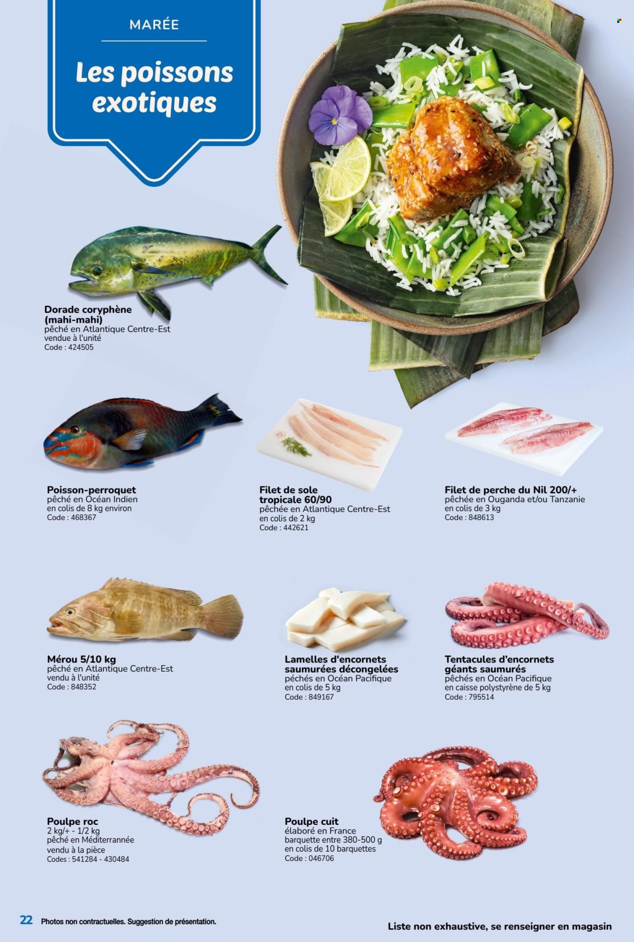 Catalogue Promocash. Page 23